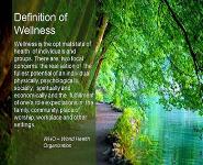 Matrix of Human Lifespan and Wellness PowerPoint Presentation