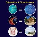 Epigenetics