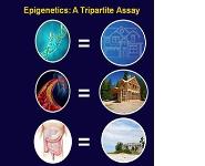 Epigenetics PowerPoint Presentation