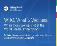 Where does Wellness Fit at the World Health Organization PowerPoint Presentation