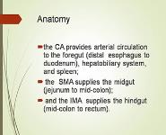 mesenteric arterial disease PowerPoint Presentation