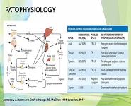 Hypoglicemia PowerPoint Presentation Notes
