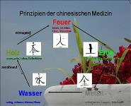 Alternative medicine PowerPoint Presentation