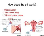 Birth Control - Contraception PowerPoint Presentation