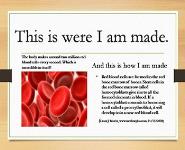 Urinary System PowerPoint Presentation