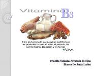 Vit B3 PowerPoint Presentation Notes