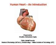 Human Heart An Introduction PowerPoint Presentation