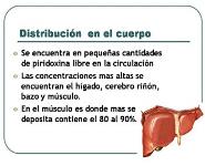 Vitamin B6 PowerPoint Presentation