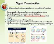 PHARMACODYNAMICS PowerPoint Presentation
