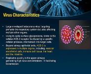 Adult Congenital Heart Disease and The COVID-19 Pandemic PowerPoint Presentation