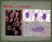 UNIT 2 FORENSIC SEROLOGY 1 PowerPoint Presentation Notes