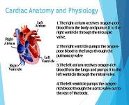 EMT Refresher B - Medical Assessment and Management PowerPoint Presentation