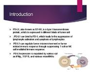 Colon Cancer PowerPoint Presentation