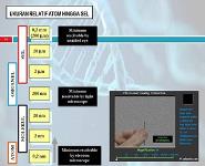 PENDAHULUAN - Tim Dosen Biologi Molekuler PowerPoint Presentation Notes
