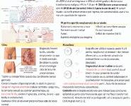 HPV cancer (roumanian) Medical Notes