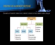 Destek ve hareket PowerPoint Presentation