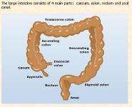 BIOCHEMISTRY OF DIGESTION 2 Medical Notes