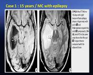 Radiology PowerPoint Presentation