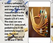 CATHETERIZATION PowerPoint Presentation