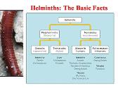 Chemotherapy of Helminthic Infections - Anti-helminthic Drugs
