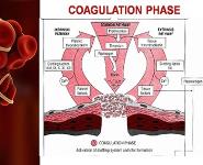 Antithrombotic Anticoagulants and Thrombolytic agents PowerPoint Presentation