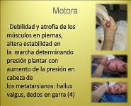 Pie Diabetico PowerPoint Presentation