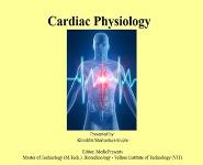 Cardiac Physiology PowerPoint Presentation