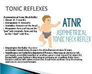 Rehabilitation using Primitive Motor Reflexes PowerPoint Presentation Notes