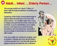 How much water do you need a day PowerPoint Presentation