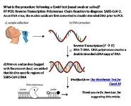 PCR Lab PowerPoint Presentation