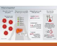 Viral Hepatitis PowerPoint Presentation