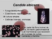 CANDIDA