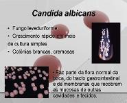 CANDIDA PowerPoint Presentation Notes