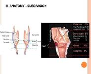 Laryngeal Cancer PowerPoint Presentation