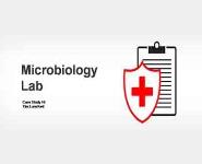 Case Study PowerPoint Presentation