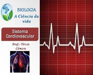 Sistema Cardiovascular PowerPoint Presentation