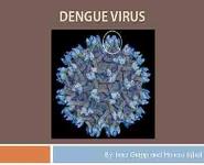 Dengue Virus PowerPoint Presentation