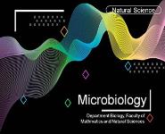 Protein Synthesis PowerPoint Presentation