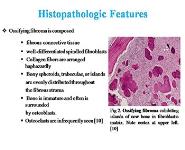 Management of Fibro-osseous lesions PowerPoint Presentation