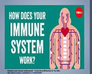 How to Boost Your Immune System PowerPoint Presentation