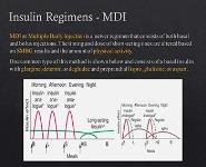 Therapeutic Approach to Diabetes Mellitus PowerPoint Presentation