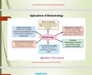 Biotechnology and Its Application PowerPoint Presentation