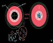 Asthma PowerPoint Presentation