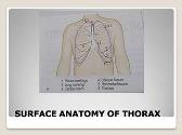 Surface Anatomy of Lungs