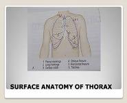 Surface Anatomy of Lungs PowerPoint Presentation