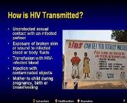 World Health Organization Presentation on Overview of HIV Infection PowerPoint Presentation