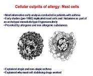 Mechanisms of Allergic Immunity PowerPoint Presentation