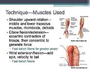 Biomechanics of the Jump Shot PowerPoint Presentation