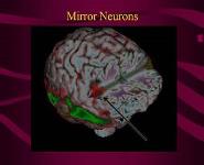 Autism Spectrum Disorders PowerPoint Presentation Notes