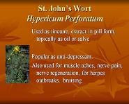 Herbalism A Tradition of Healing PowerPoint Presentation